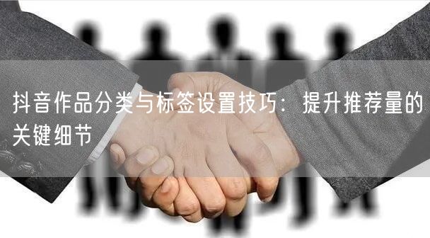 抖音作品分类与标签设置技巧：提升推荐量的关键细节