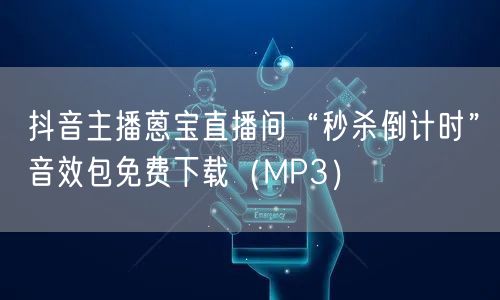 抖音主播蒽宝直播间“秒杀倒计时”音效包免费下载（MP3）